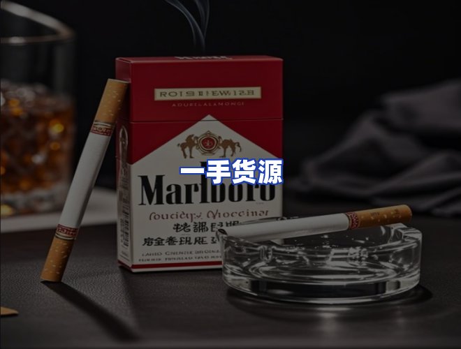 专业团队